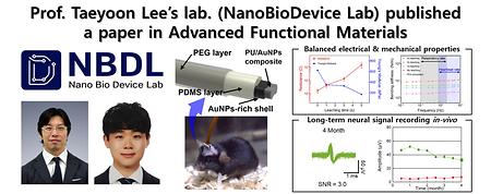 Prof. Taeyoon Lee’s lab. (NanoBioDevice Lab) published  a paper in Advanced Functional Materials